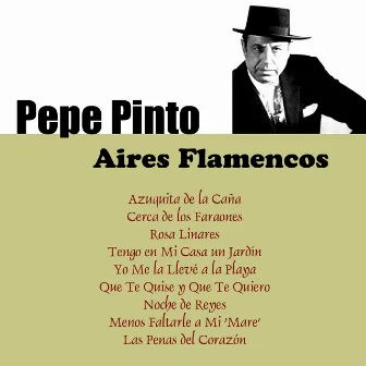 Aires Flamencos by Pepe Pinto