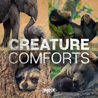 Creature Comforts by Klas Johan Wahl