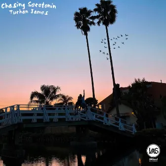 Chasing Serotonin by Turhan James