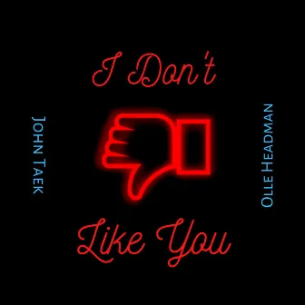 I Don't Like You by John Taek