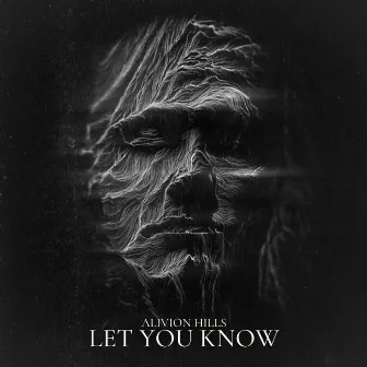 Let You Know by Alivion Hills