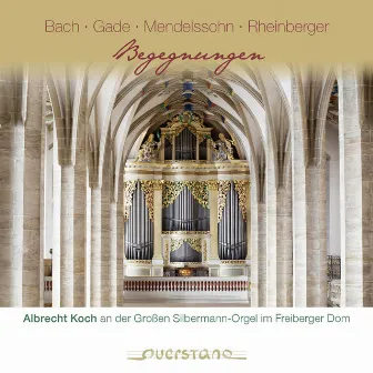 Begegnungen (Albrecht Koch an der Grossen Silbermann-Orgel im Freiberger Dom) by Albrecht Koch