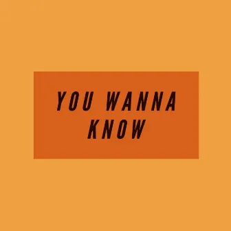 You Wanna Know by Ave Astra