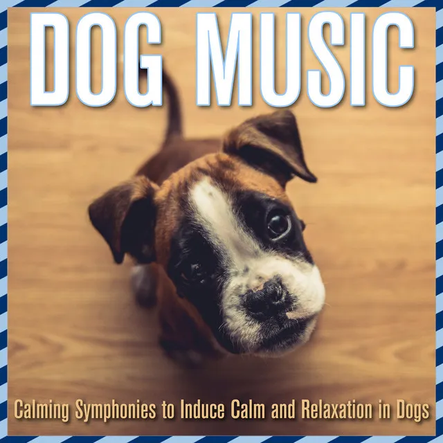 Dog Music: Calming Symphonies to Induce Calm and Relaxation in Dogs