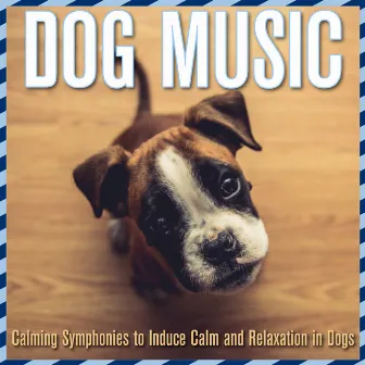 Dog Music: Calming Symphonies to Induce Calm and Relaxation in Dogs by Dog Music Dreams