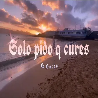 Solo pido q cures by La Gocha