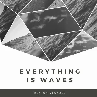 Everything Is Waves by Keaton Vegades