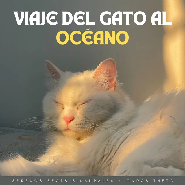 Sueños De Gatitos Acurrucados