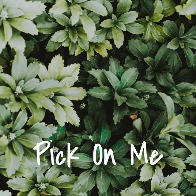 Pick on Me