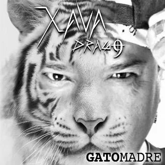 Gatomadre by Xava Drago