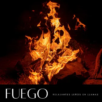 Fuego: Relajantes Leños En Llamas by Mejores Sonidos ASMR