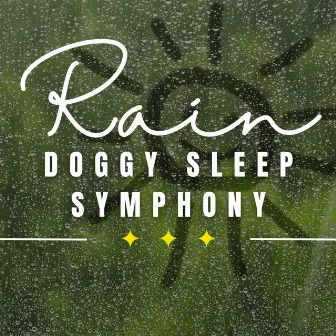 Rainy Day Paws: Relaxation for Dogs by Relaxing Orgel