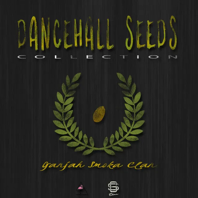 Dancehall Seeds Collection