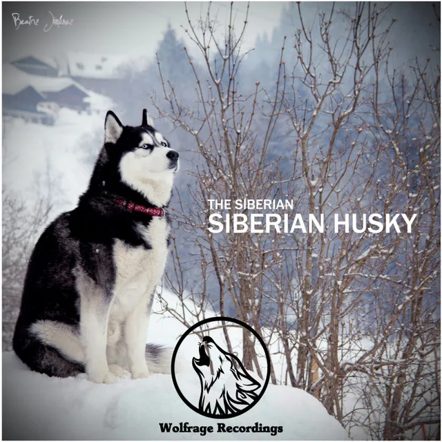 Siberian Husky - Original Mix