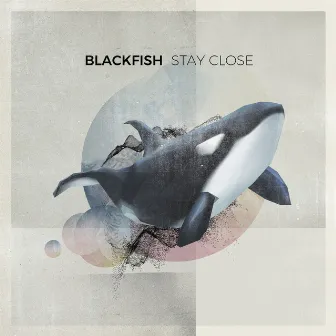 Stay Close by Blackfish