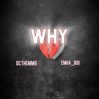 Why by Dc Themmie