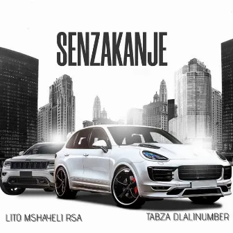 Senzakanje by Lito Mshayeli RSA