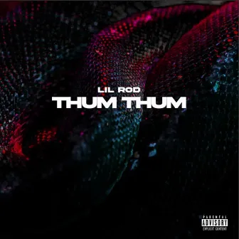 Thum Thum by Lil Rod