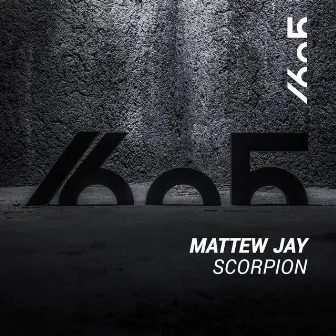 Scorpion by Mattew Jay