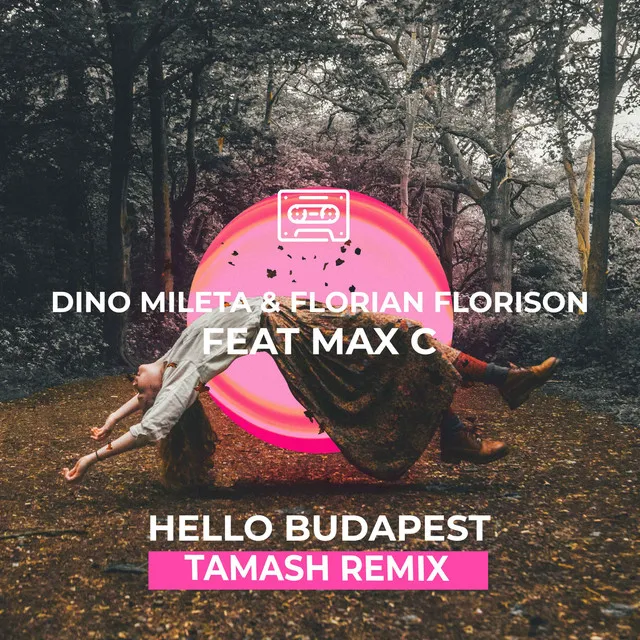 Hello Budapest - Tamash Remix