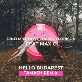 Hello Budapest (Tamash Remix) by Tamash