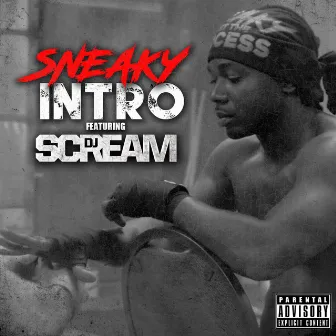 Intro (feat. DJ Scream) by Sneaky