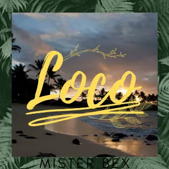 Loco by Mister Bex