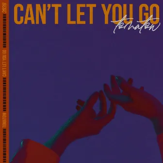 Can't Let You Go by Tomatow