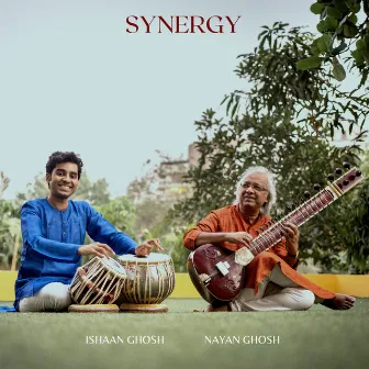 Synergy by Ishaan Ghosh