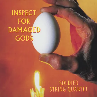 Inspect For Damaged Gods by Soldier String Quartet