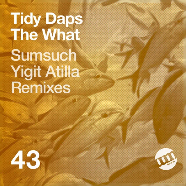 The What - Yigit Atilla Remix