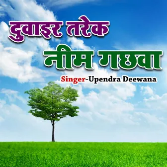 Duwair Tarek Neem Gachhawa by Upendra Deewana