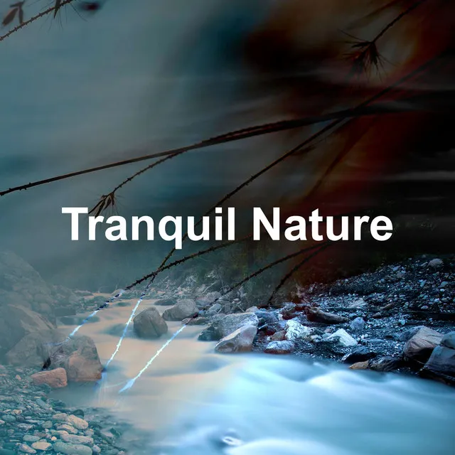 Tranquil Nature