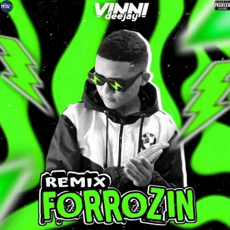 Remix Forrozin by Vini DJ