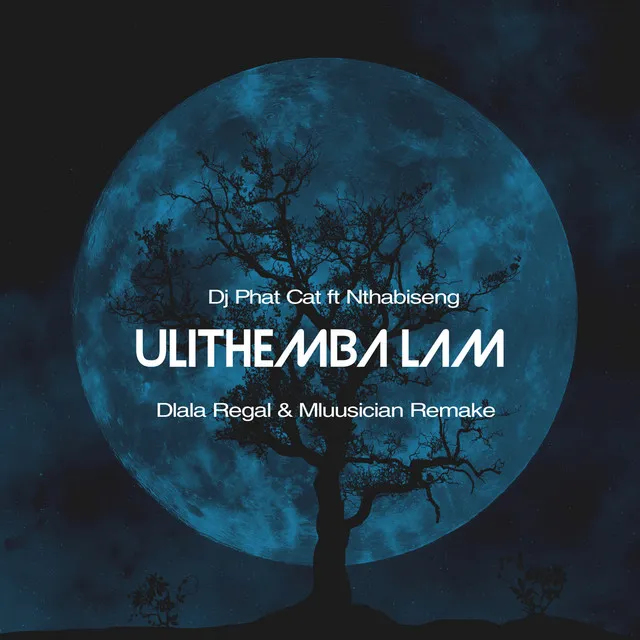 Ulithemba lam - Remake