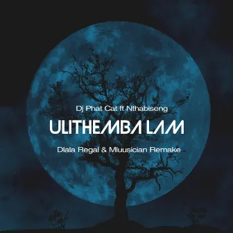 Ulithemba lam (Remake) by Dj Phat Cat