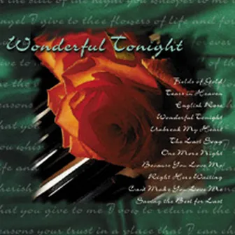 Wonderful Tonight by Brian Withycombe