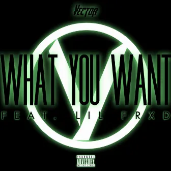 What You Want by Vector