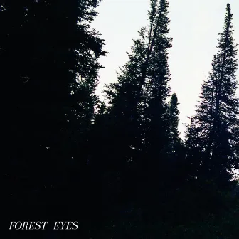 Forest Eyes by Unknown Artist