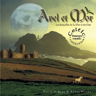 Celtic dream: avel et mor (les fiançailles de la mer et du vent) by Philip N'Bess