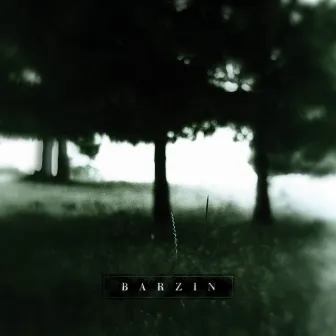 Barzin by Barzin