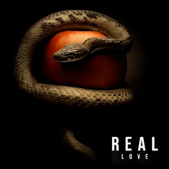 Real Love by Noah