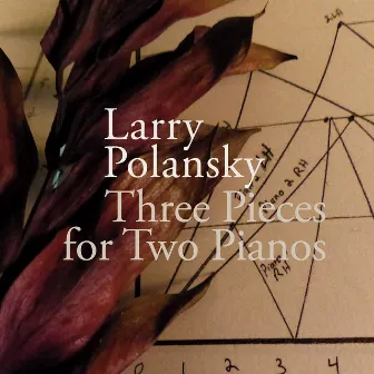 Larry Polansky: Three Pieces for Two Pianos by Larry Polansky