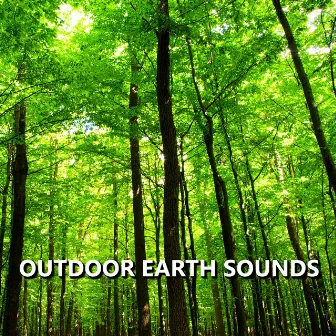 Outdoor Earth Sounds by Earth Sounds