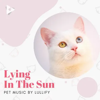 Lying In The Sun by Pet Music by Lullify