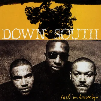 Lost In Brooklyn by Down South