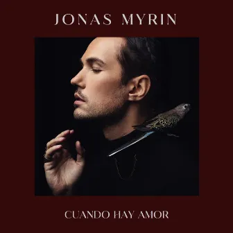 Cuando Hay Amor by Jonas Myrin