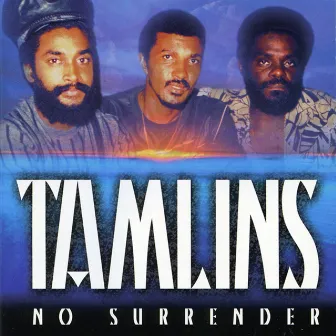 No Surrender by Tamlins