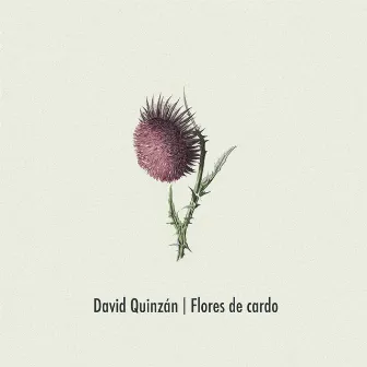 Flores de cardo by David Quinzán