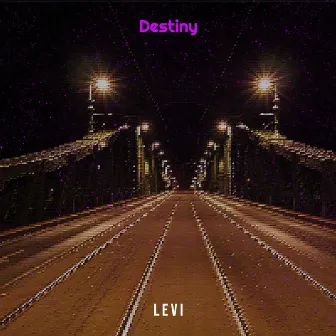 Destiny by L E V i